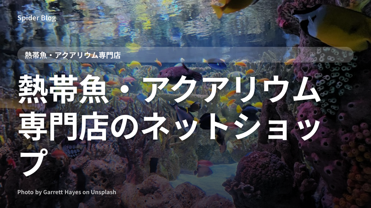 熱帯魚・アクアリウム専門店のネットショップ