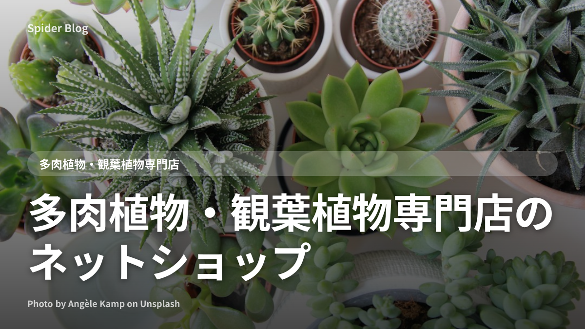 多肉植物・観葉植物専門店のネットショップ